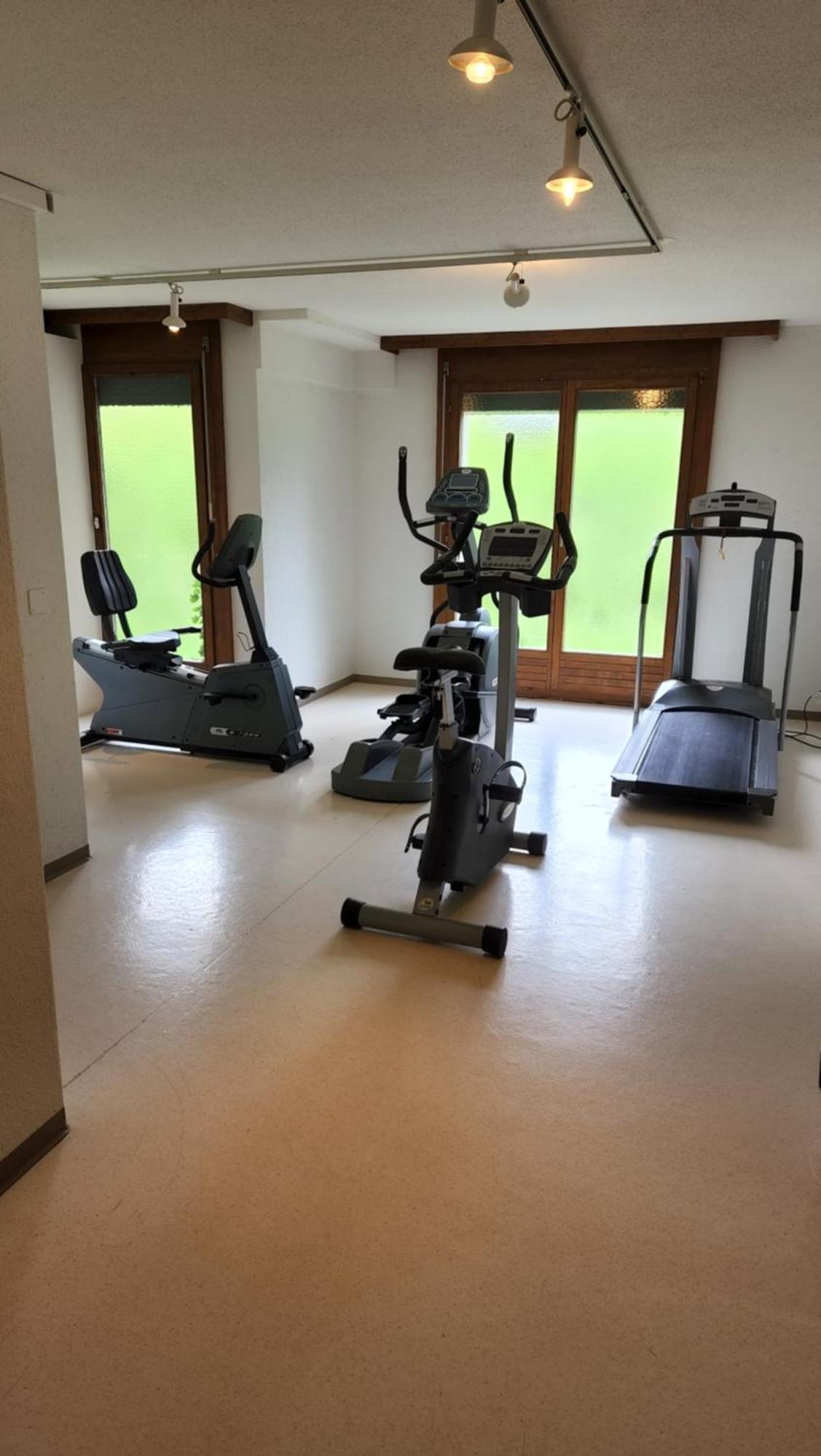 Solohike Mountainview Appartement Seelisberg Buitenkant foto